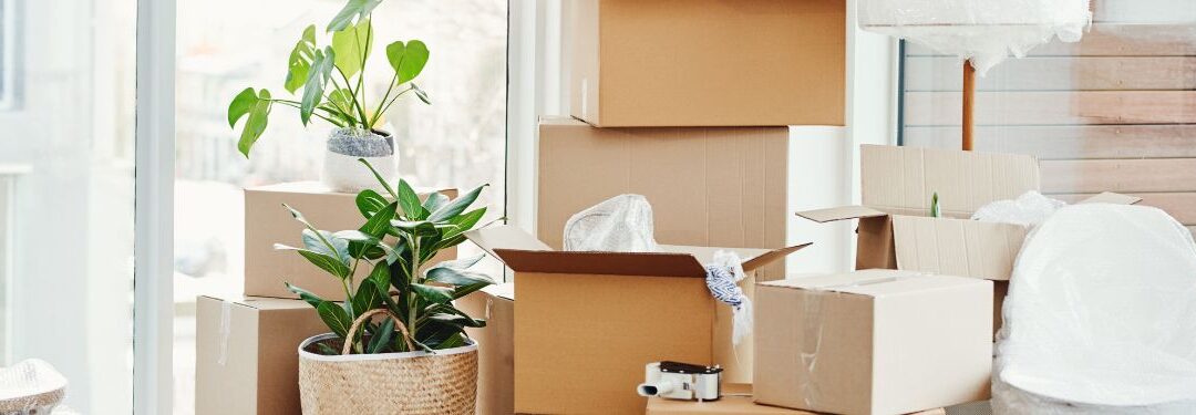 New Apartment, No Panic: Your Move-In Day Checklist