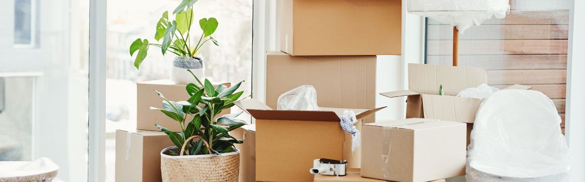 New Apartment, No Panic: Your Move-In Day Checklist