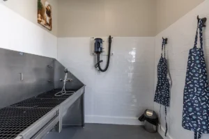 The Reserve at Winchester Apartment Community with Dog Washing Station