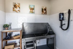 The Reserve at Winchester Apartment Dog Washing Station