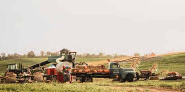 West Oaks Farm Market, in Winchester, Virginia